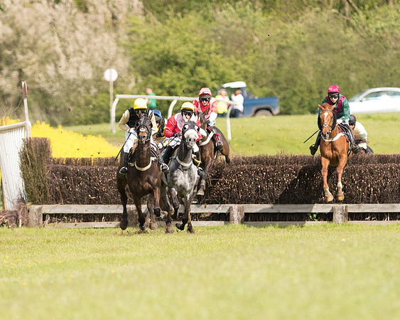 Race 4 - Fernie Gold Cup (58 of 78).jpg