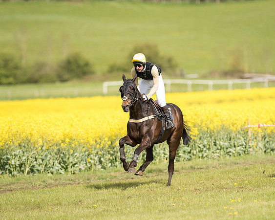 Race 4 - Fernie Gold Cup (59 of 78).jpg