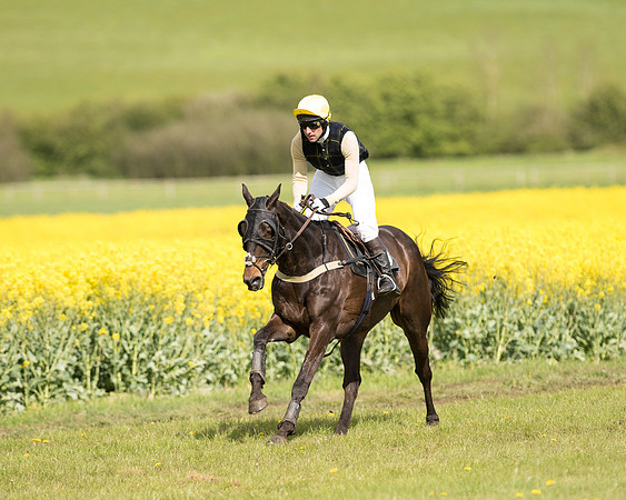 Race 4 - Fernie Gold Cup (60 of 78).jpg