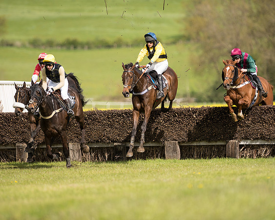 Race 4 - Fernie Gold Cup (65 of 78).jpg