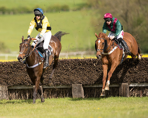 Race 4 - Fernie Gold Cup (66 of 78)-2.jpg