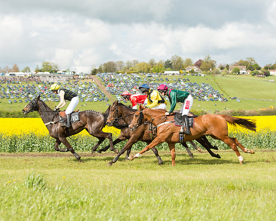 Race 4 - Fernie Gold Cup (72 of 78).jpg