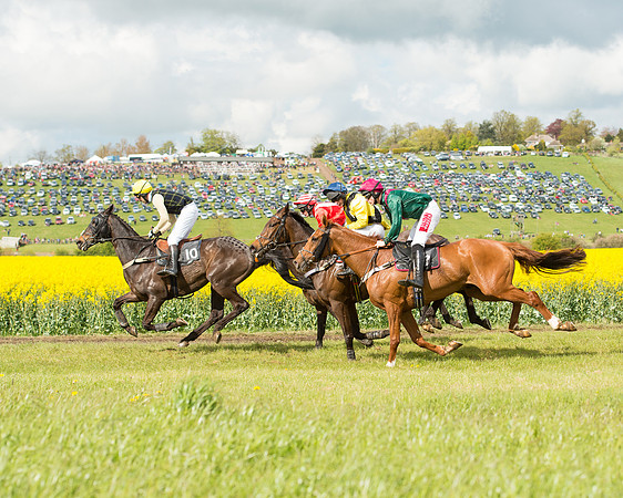 Race 4 - Fernie Gold Cup (73 of 78).jpg