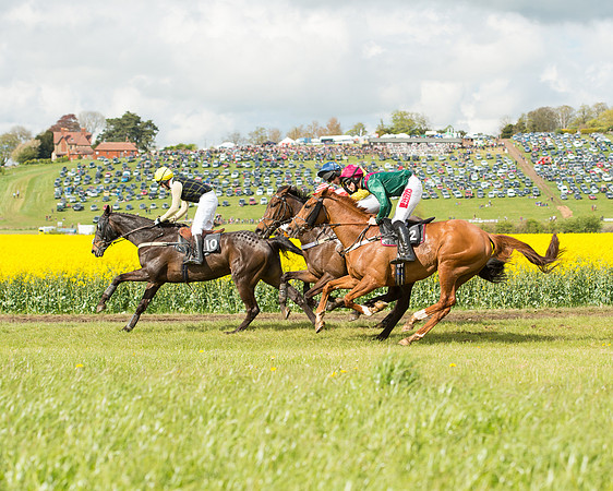 Race 4 - Fernie Gold Cup (75 of 78).jpg
