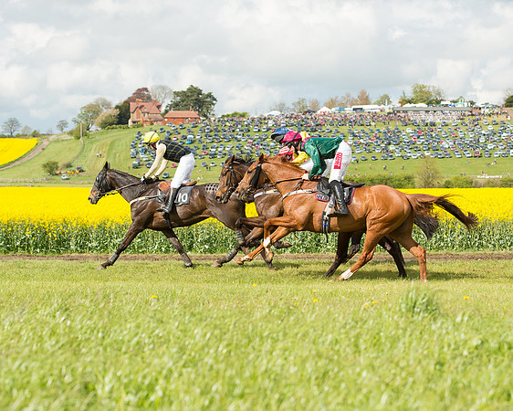 Race 4 - Fernie Gold Cup (76 of 78).jpg