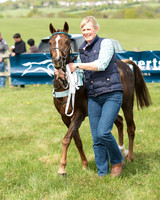 Pony Race 1 (3 of 55).jpg