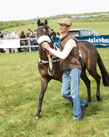 Pony Race 1 (5 of 55).jpg
