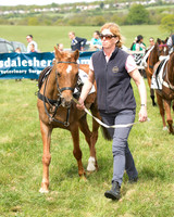Pony Race 1 (7 of 55).jpg