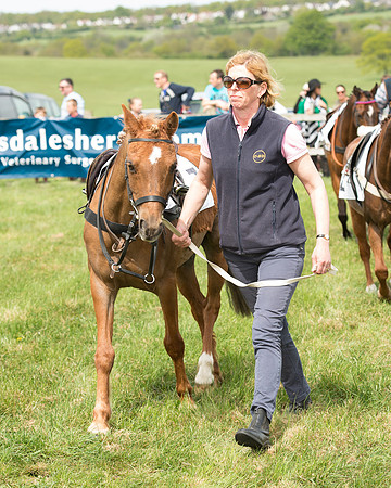 Pony Race 1 (7 of 55).jpg