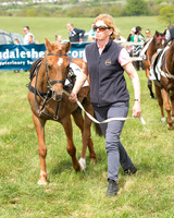 Pony Race 1 (8 of 55).jpg