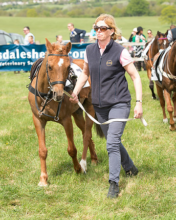 Pony Race 1 (8 of 55).jpg