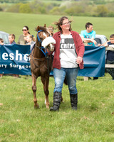 Pony Race 1 (12 of 55).jpg