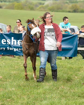 Pony Race 1 (12 of 55).jpg