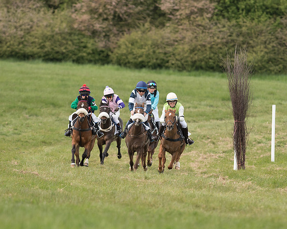 Pony Race 1 (26 of 55).jpg