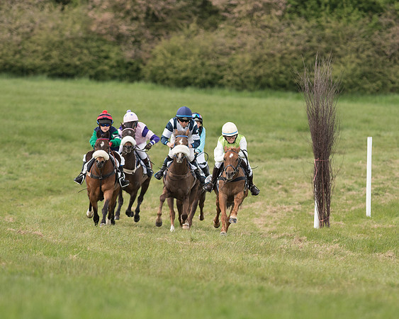 Pony Race 1 (27 of 55).jpg