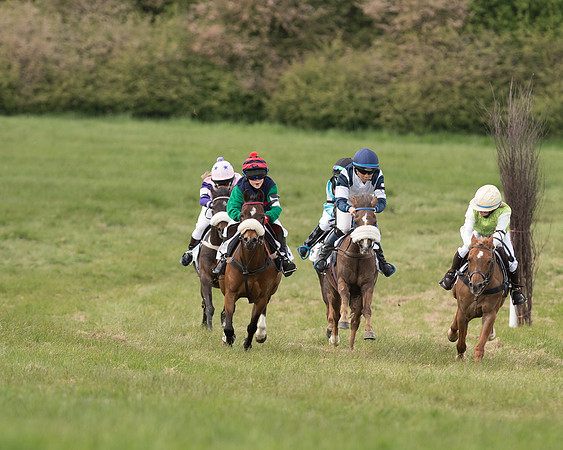 Pony Race 1 (28 of 55).jpg