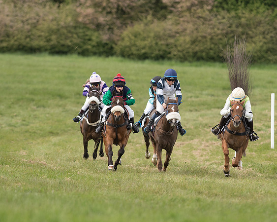 Pony Race 1 (29 of 55).jpg