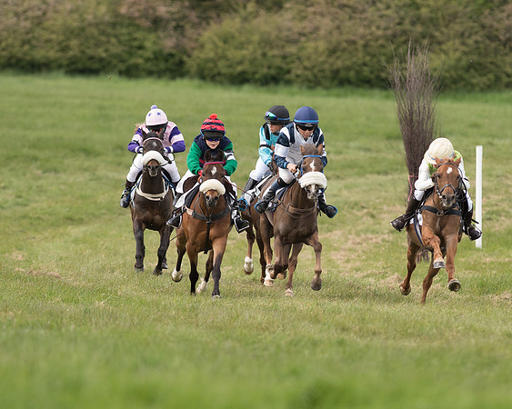 Pony Race 1 (30 of 55).jpg