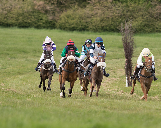 Pony Race 1 (31 of 55).jpg