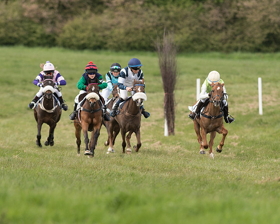 Pony Race 1 (32 of 55).jpg