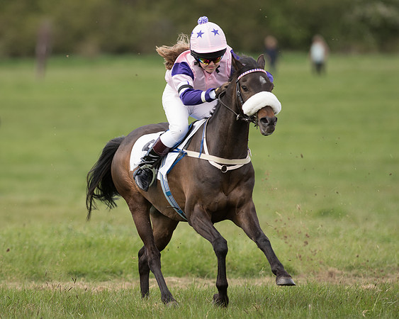 Pony Race 1 (43 of 55).jpg
