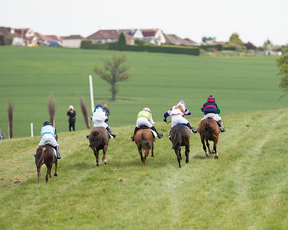 Pony Race 1 (47 of 55).jpg