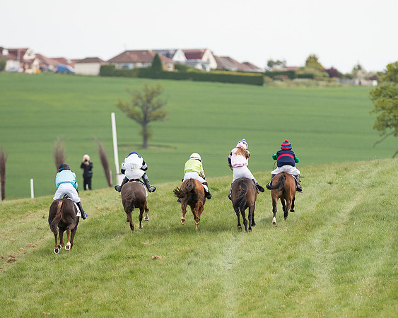 Pony Race 1 (48 of 55).jpg