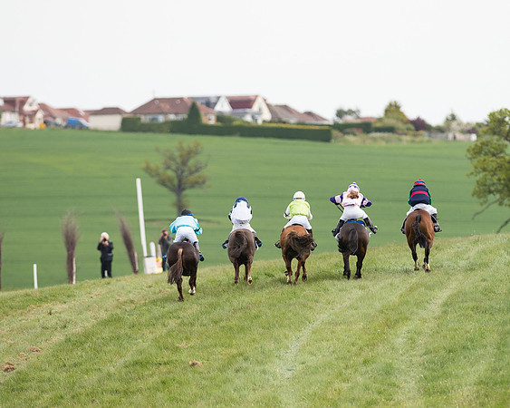Pony Race 1 (52 of 55).jpg