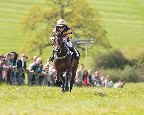 Pony Race 2 (8 of 49).jpg