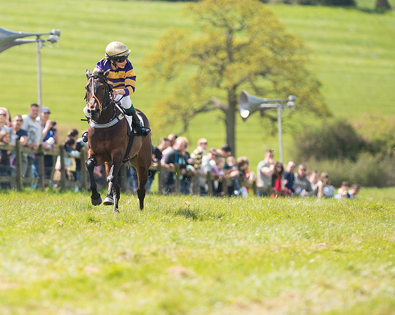 Pony Race 2 (10 of 49).jpg