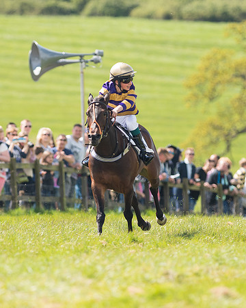 Pony Race 2 (11 of 49).jpg