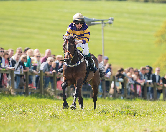 Pony Race 2 (13 of 49).jpg