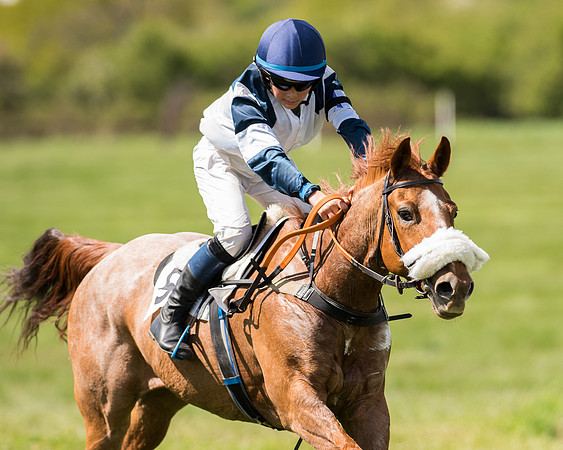 Pony Race 2 (38 of 49).jpg