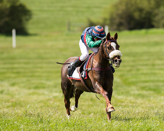 Pony Race 2 (40 of 49).jpg