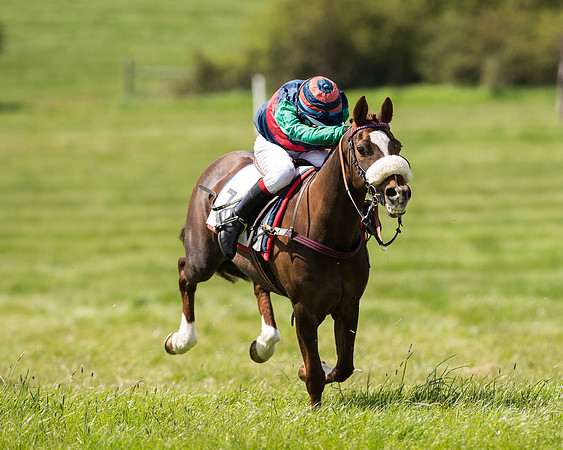 Pony Race 2 (41 of 49).jpg