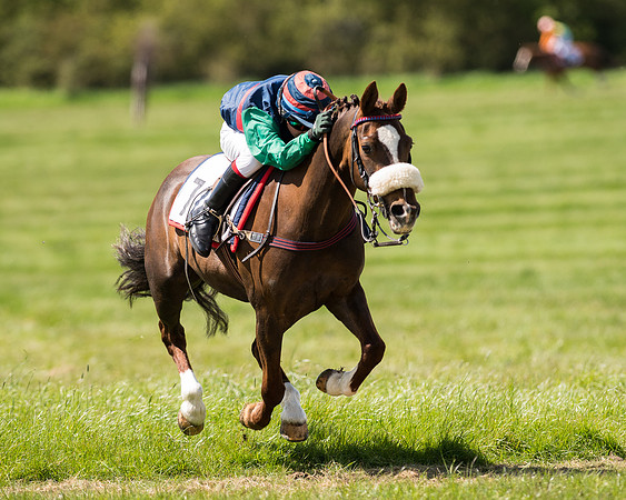 Pony Race 2 (42 of 49).jpg