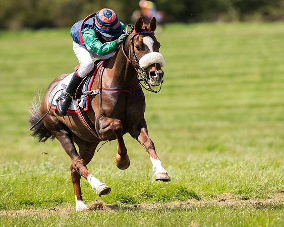 Pony Race 2 (43 of 49).jpg