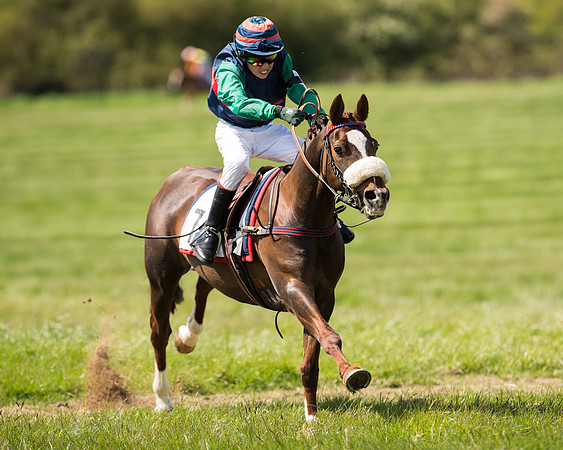 Pony Race 2 (44 of 49).jpg