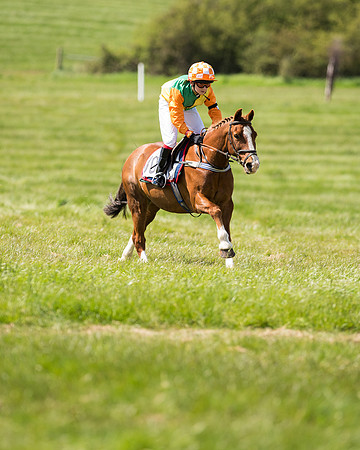 Pony Race 2 (45 of 49).jpg