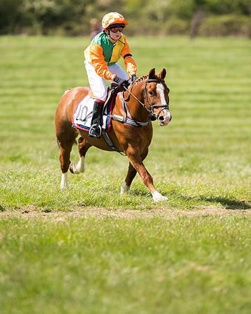 Pony Race 2 (46 of 49).jpg