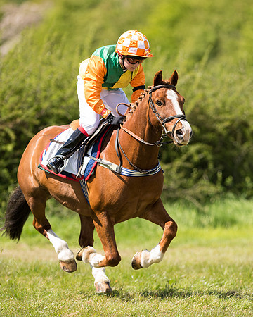 Pony Race 2 (48 of 49).jpg