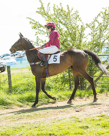 Pony Race 3 (11 of 38).jpg