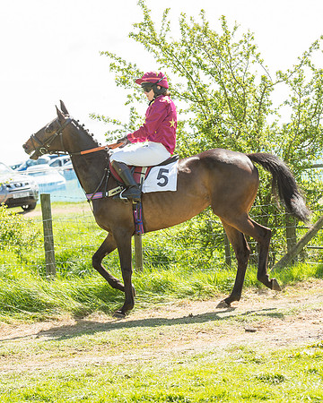 Pony Race 3 (12 of 38).jpg