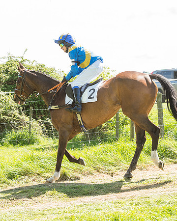 Pony Race 3 (15 of 38).jpg