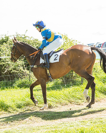 Pony Race 3 (16 of 38).jpg