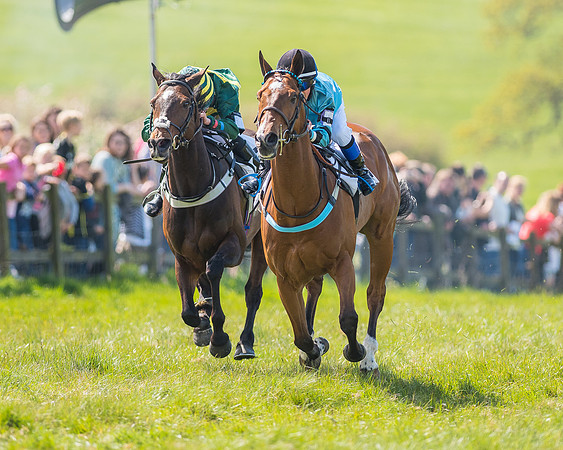 Pony Race 3 (21 of 38).jpg