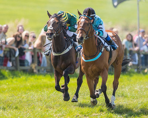 Pony Race 3 (24 of 38).jpg