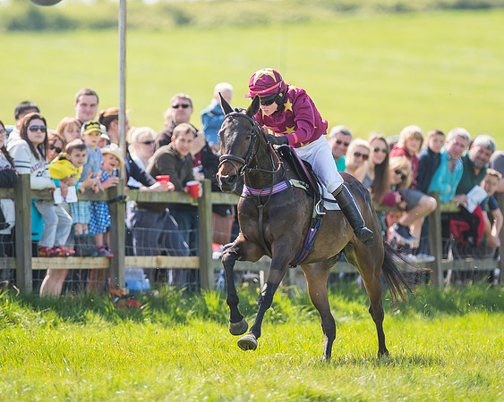 Pony Race 3 (31 of 38).jpg