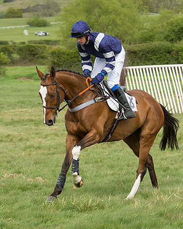 Race 2 - Intermediate Race (2 of 66).jpg