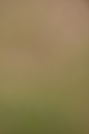 CE3_1129.jpg
